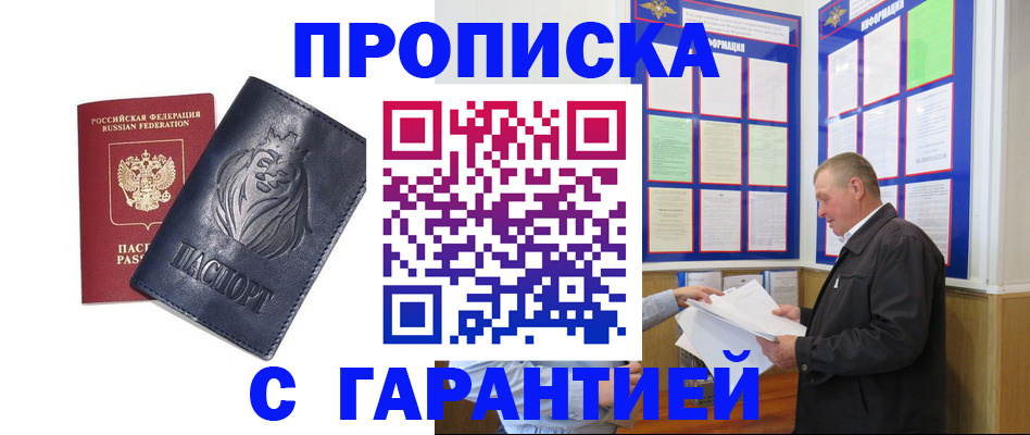 прописка поиск в Ельне